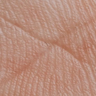 How does Palm Reading work?