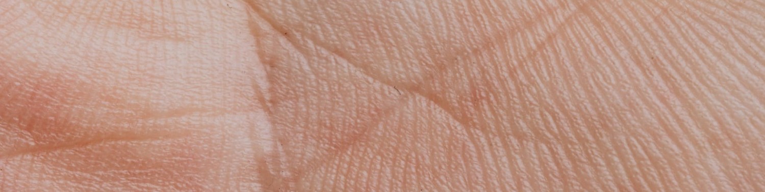 How does Palm Reading work?